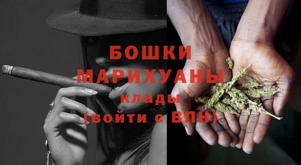 spice Богданович
