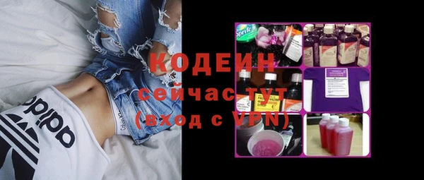 шишки Белоозёрский