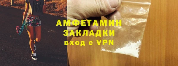 шишки Белоозёрский