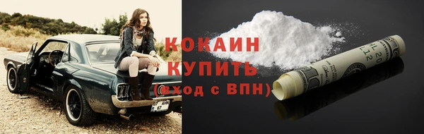 spice Богданович