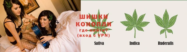 spice Богданович