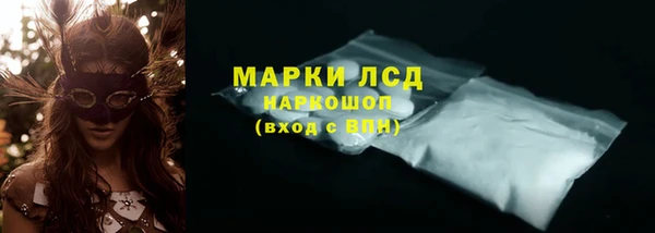 шишки Белоозёрский