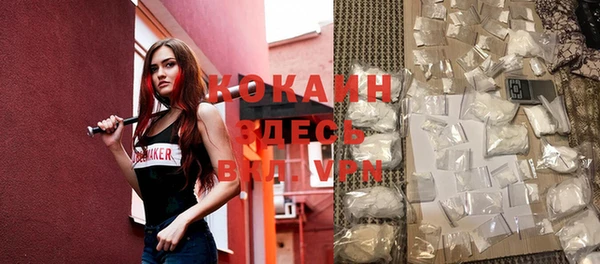 шишки Белоозёрский