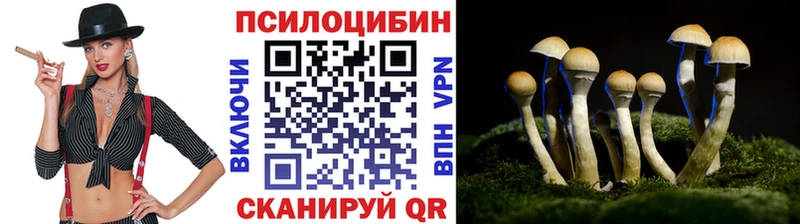 Псилоцибиновые грибы прущие грибы  Белая Холуница 